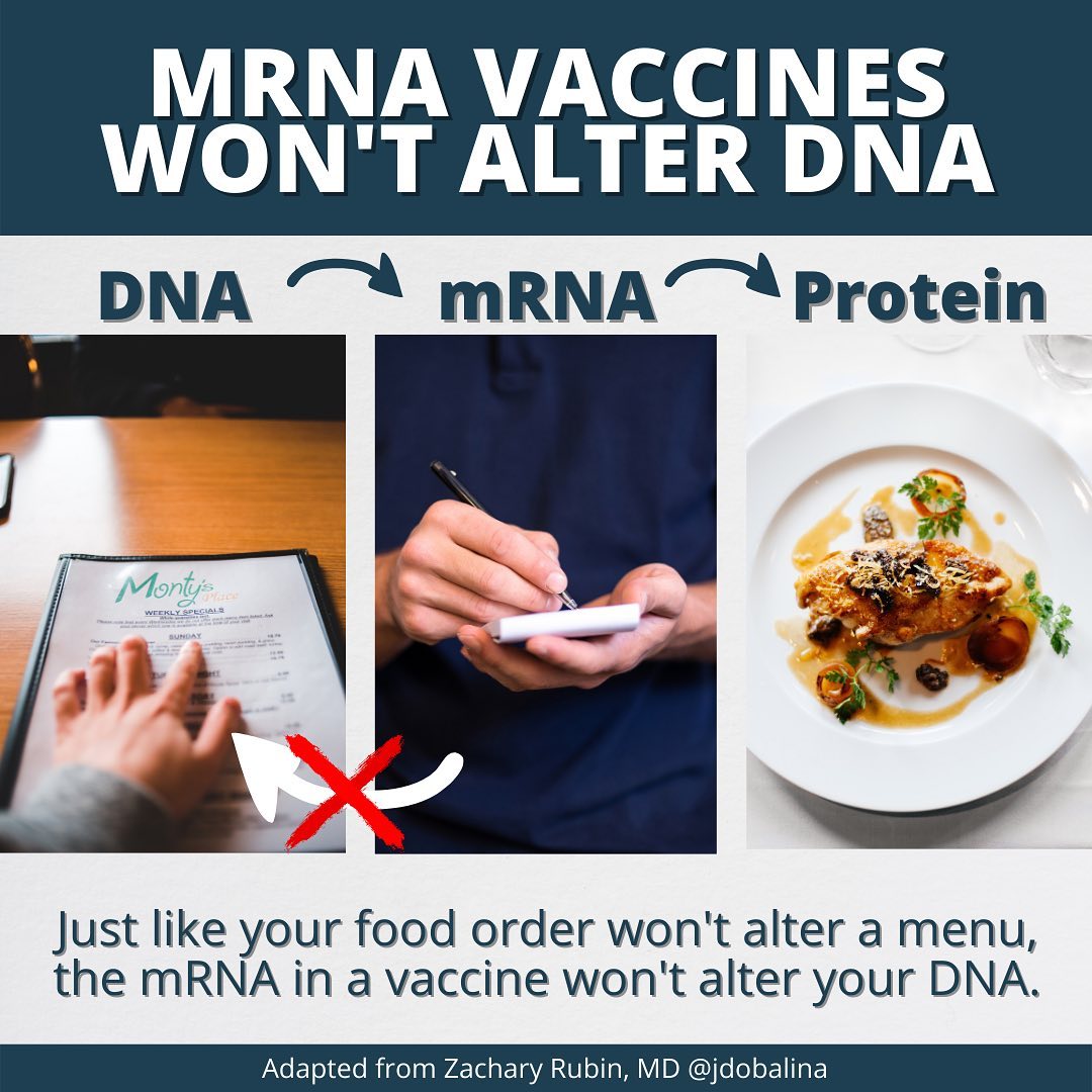 MRNA vaccines won’t alter DNA