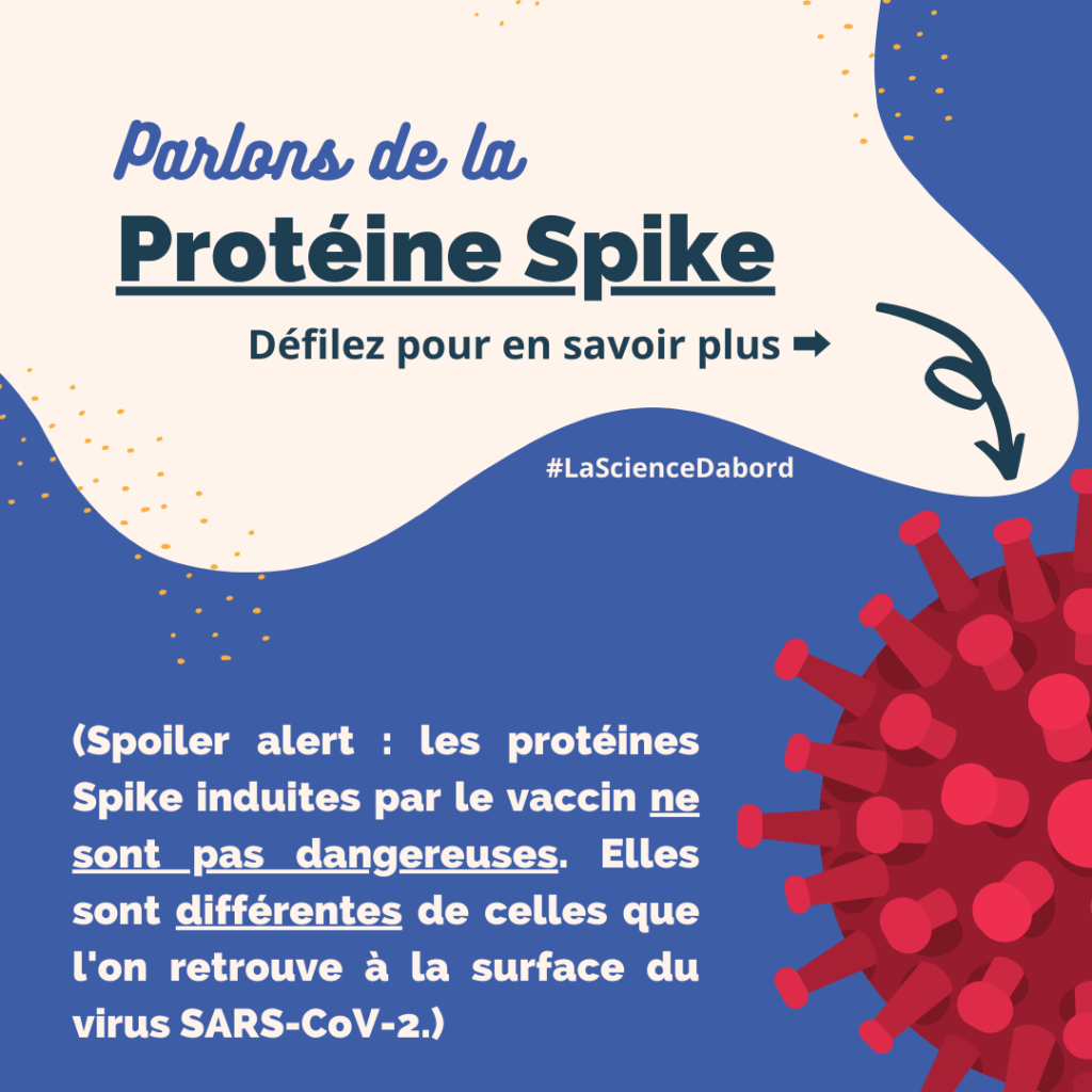 Parlons de la Protéine Spike