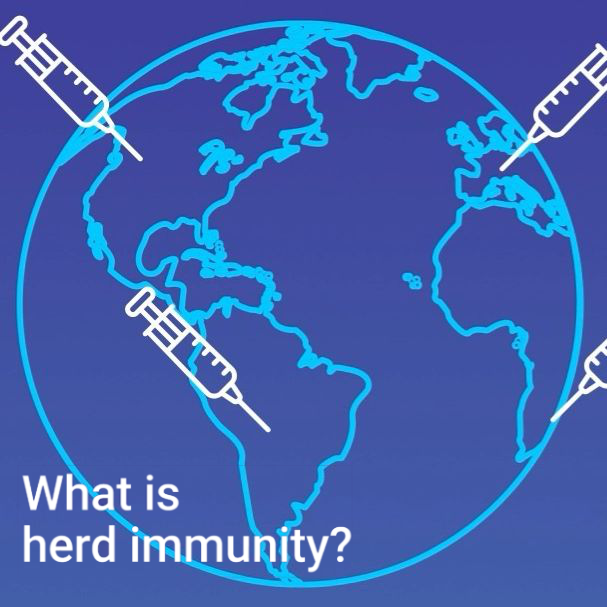 What is herd immunity?