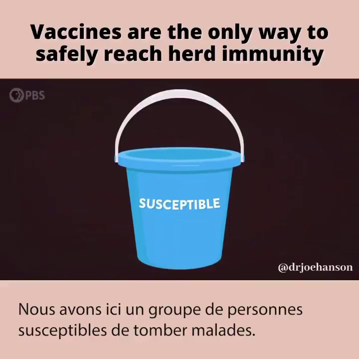 Pourquoi les vaccins nous aident à atteindre l’immunité collective, avec moins de risques.