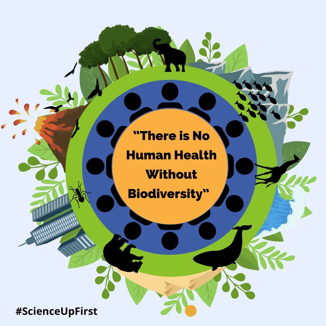 There is no Human Health without Biodiversity