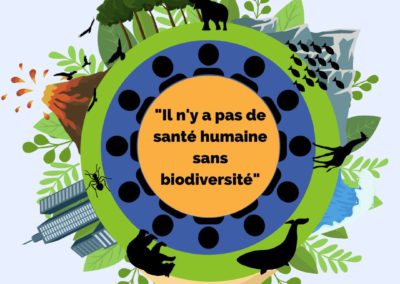 Il n’y a pas de santé humaine sans biodiversité