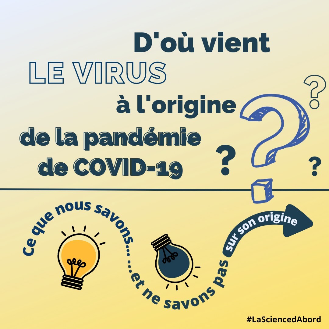 D’où vient le virus à l’origine de la pandémie de COVID-19 ?