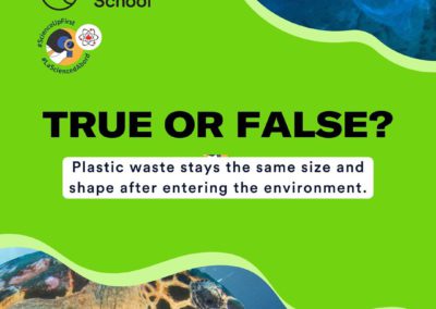 Does plastic waste stays the same size and shape after entering the environment?