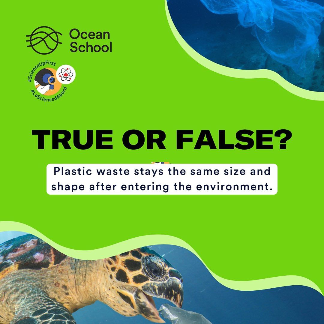Does plastic waste stays the same size and shape after entering the environment?