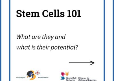 Stem Cells 101: Purpose and potential