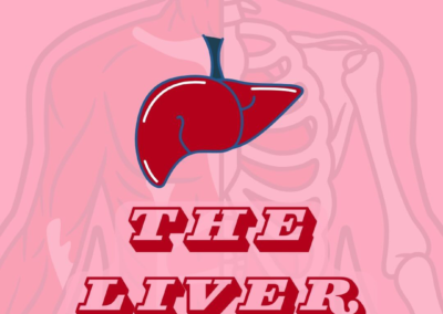 Learn about your Liver