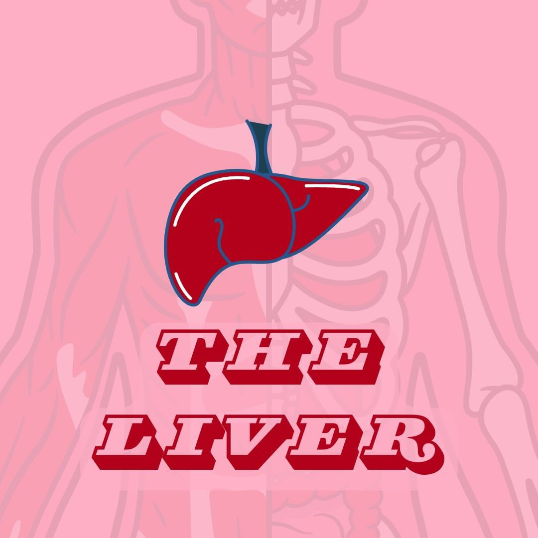 Learn about your Liver